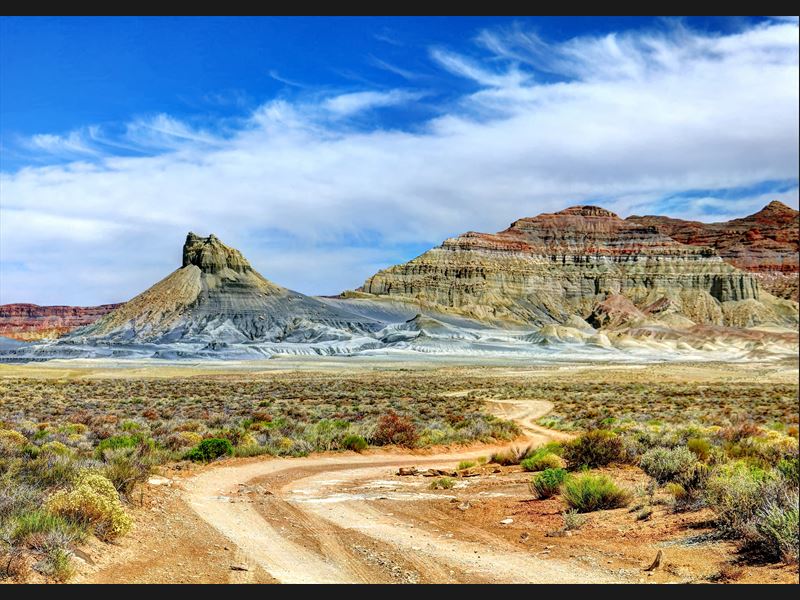 Desert - USA - Arizona